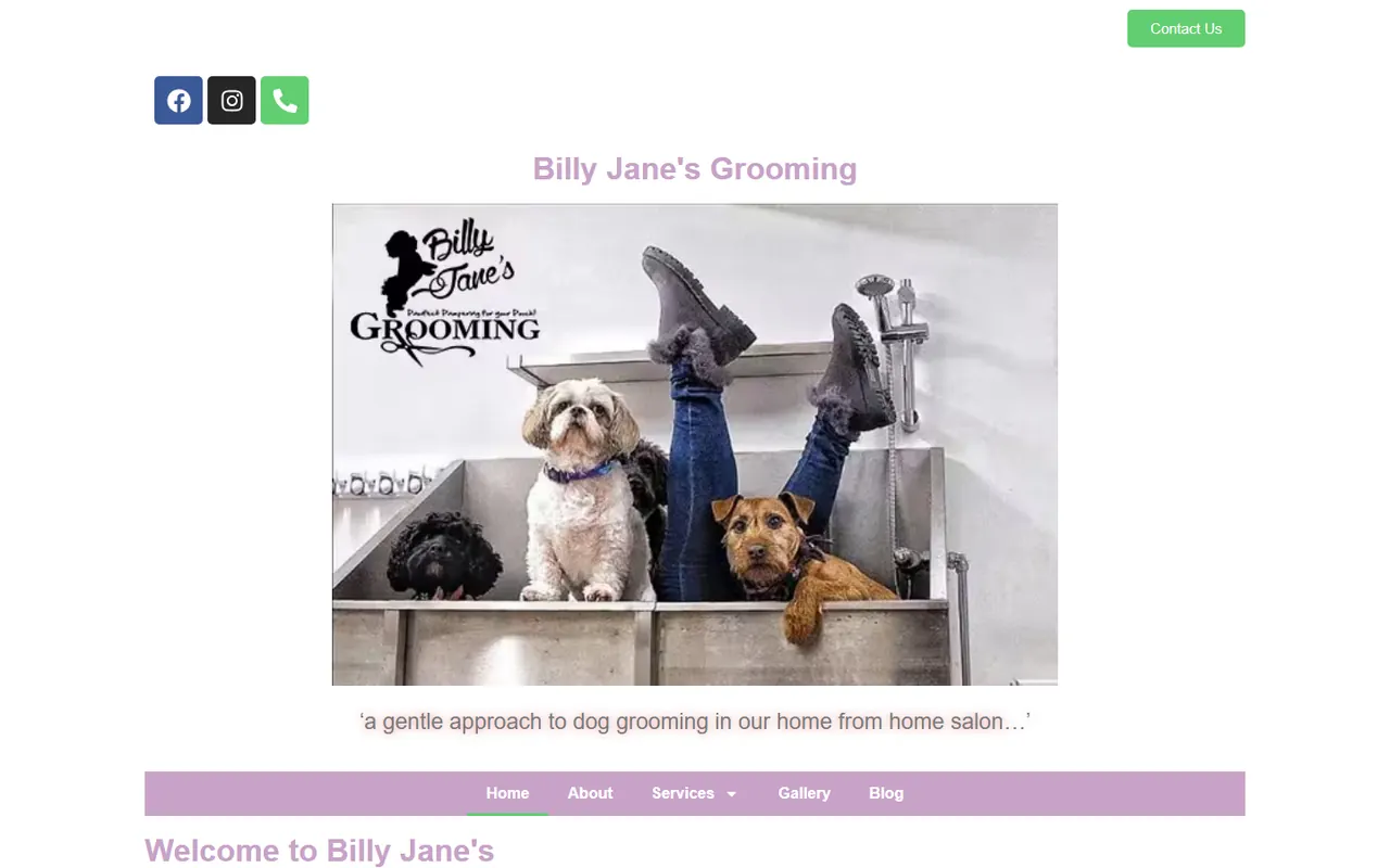 Desktop preview of the BJ Grooming website