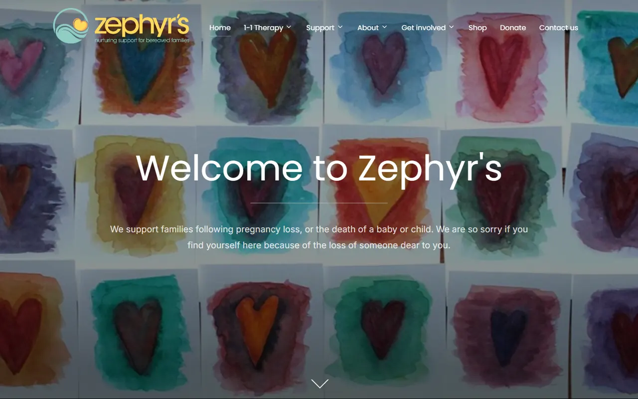 Desktop preview of the Zephyrs website